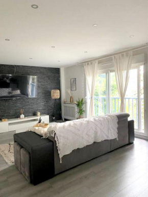 Appartement d'une chambre avec wifi a Argenteuil